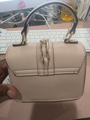 Rose Aldo Alobrennon Studded Top Handle Crossbody